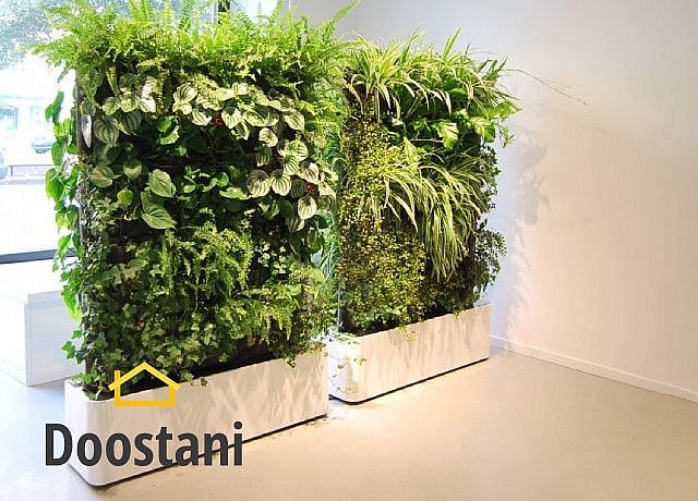 انتخاب گیاهان مناسب برای دیوارهای سبز